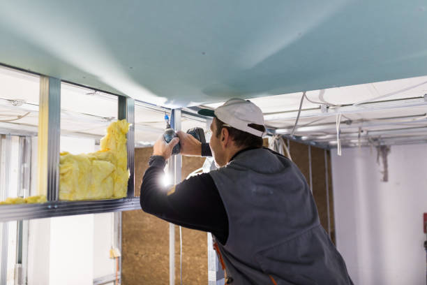 Best Insulation Air Sealing  in Eagle, WI