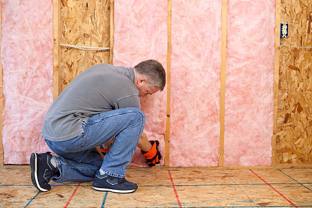 Best Blown-In Insulation  in Eagle, WI